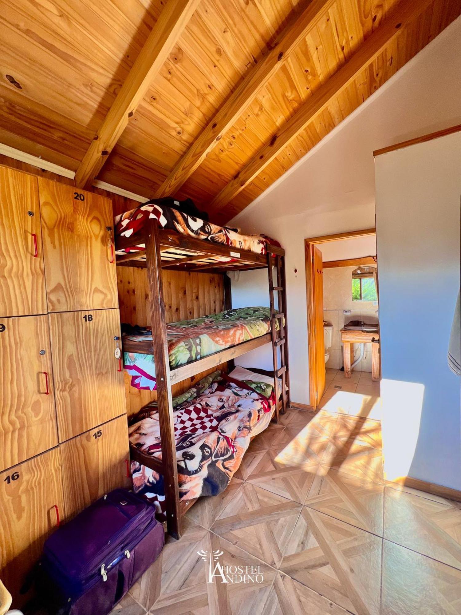 Hostel Andino Villa Pehuenia Exterior photo