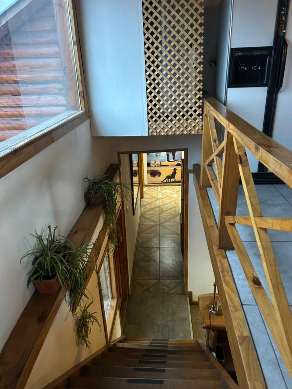 Hostel Andino Villa Pehuenia Exterior photo